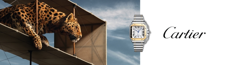 Cartier Cartier